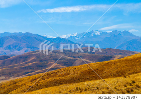 Golden Hills and Snow-Capped Mountains in Kyrgyzstan Golden Hills and Snow-Capped Mountains in Kyrgyzstan 141578907