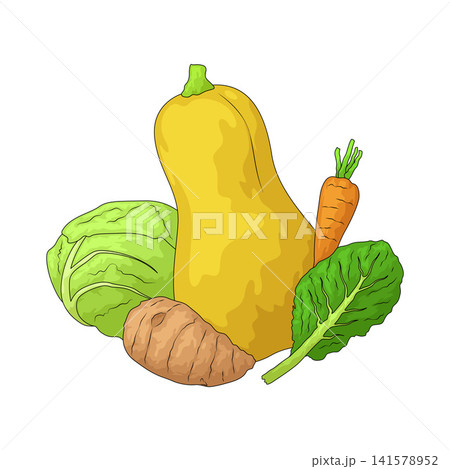 Illustration of Veg Mix 141578952