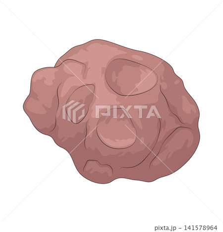 Illustration of Sunchoke Illustration of Sunchoke 141578964