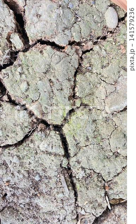 Dry Cracked Earth Texture Dry Cracked Earth Texture 141579236