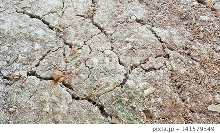 Dry Cracked Earth Texture Dry Cracked Earth Texture 141579349