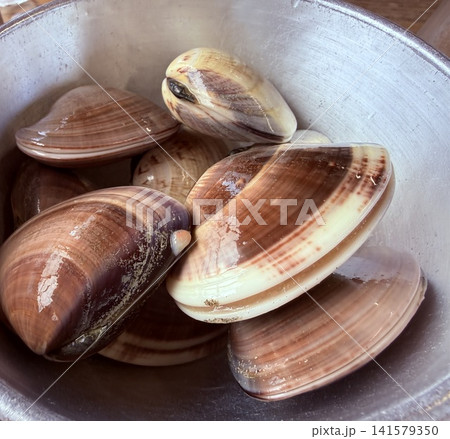ボウルに入れられた調理前の新鮮な生のハマグリ 141579350