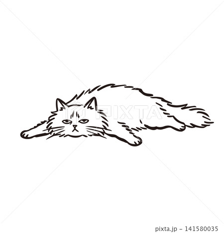 手描きのゆるいリラックスした猫のイラスト 手描きのゆるいリラックスした猫のイラスト 141580035