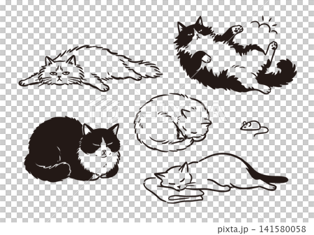 A hand-drawn, relaxed cat illustration. 141580058
