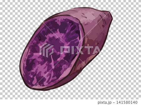A mouthwatering illustration of purple sweet potato A mouthwatering illustration of purple sweet potato 141580140