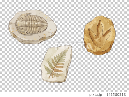A mouthwatering illustration of a fossil 141580318