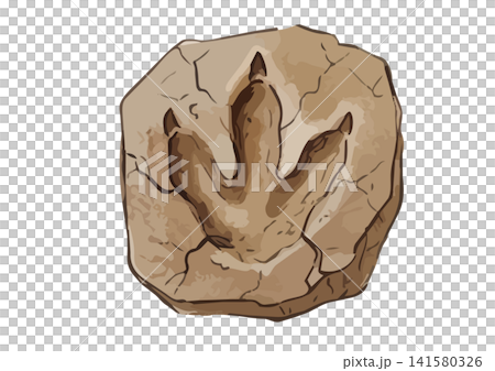 一幅栩栩如生的化石插圖（化石化的腳印）。 141580326