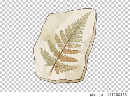 A mouthwatering illustration of a fossil (fern). 141580358