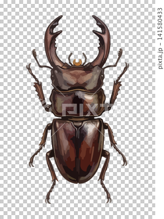 A mouthwatering illustration of a rhinoceros beetle or stag beetle. A mouthwatering illustration of a rhinoceros beetle or stag beetle. 141580433