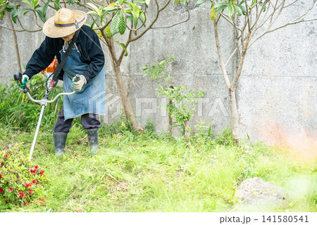 初夏に草刈り機で草刈りをする高齢男性 初夏に草刈り機で草刈りをする高齢男性 141580541