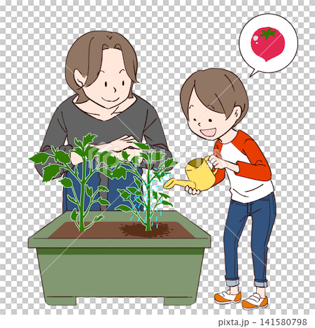 一位家長和孩子正在種植櫻桃番茄 一位家長和孩子正在種植櫻桃番茄 141580798