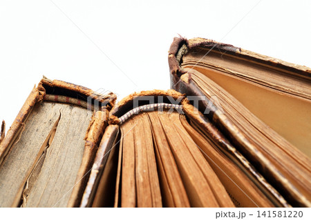 Old Books Old Books 141581220