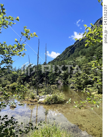 明神池二之池その三 明神池二之池その三 141582207