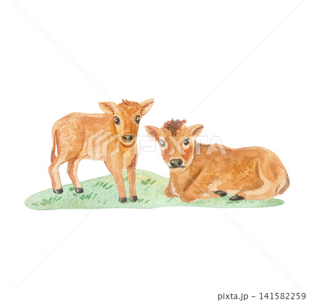 Two cute brown jersey calves standing and lying on green grass meadow. Isolated element hand drawn watercolor illustration for country farm cottagecore design 141582259