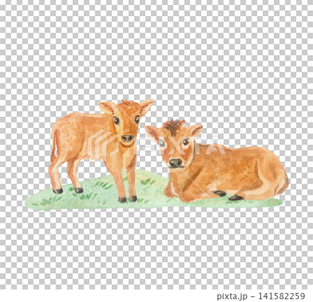 Two cute brown jersey calves standing and lying on green grass meadow. Isolated element hand drawn watercolor illustration for country farm cottagecore design 141582259