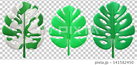 3D tropical monstera leaves set in green and variegated Alba white colors, isolated on background. Modern botanical illustration for summer design, eco branding, tropical decor, invitations, posters, 3D tropical monstera leaves set in green and variegated Alba white colors, isolated on background. Modern botanical illustration for summer design, eco branding, tropical decor, invitations, posters, 141582450