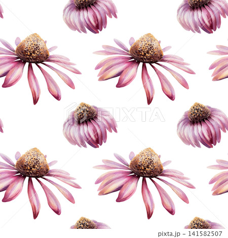 Echinacea seamless pattern watercolor illustration. Purple coneflower blossom for health immunity pharmacy branding, cold remedy packaging, medical tea design, organic herbal wellness wallpaper 141582507