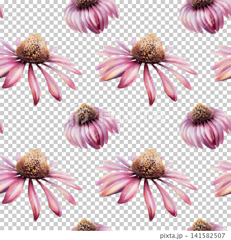 Echinacea seamless pattern watercolor illustration. Purple coneflower blossom for health immunity pharmacy branding, cold remedy packaging, medical tea design, organic herbal wellness wallpaper 141582507