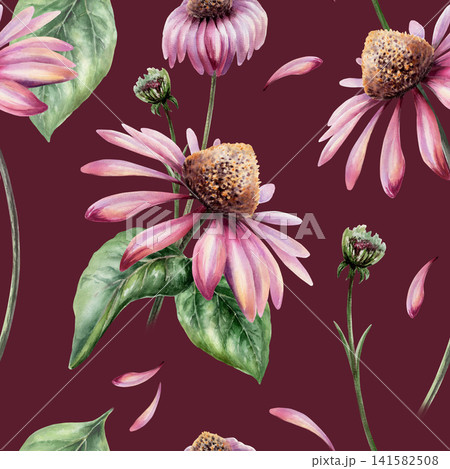 Echinacea seamless pattern watercolor illustration. Purple coneflower blossom for organic skin care cosmetics packaging, natural beauty branding, floral body lotion print, wellness backdrop 141582508