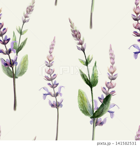 Sage seamless pattern watercolor illustration on cream background. Salvia medicinal herb blossom for calming pharmacy branding, stress relief remedy packaging, sleep tea design, herbal backdrop Sage seamless pattern watercolor illustration on cream background. Salvia medicinal herb blossom for calming pharmacy branding, stress relief remedy packaging, sleep tea design, herbal backdrop 141582531