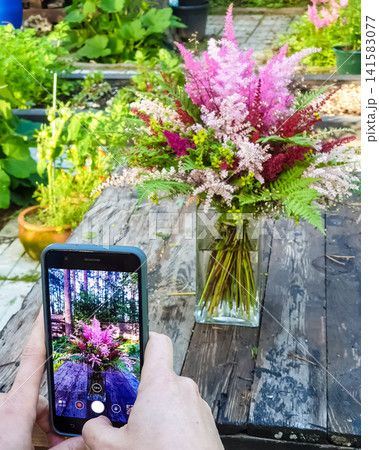 Person photographing astilbe flower bouquet in glass vase with smartphone in summer garden 141583077