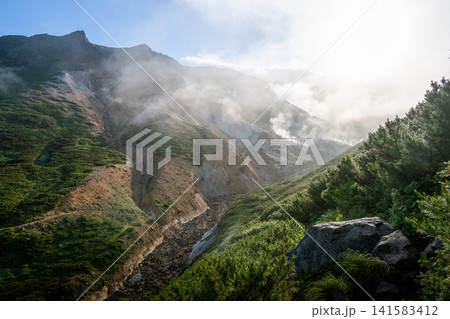 上富良野岳の登山風景 上富良野岳の登山風景 141583412