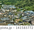 静岡市の農村地帯にあるビニールハウスと住宅を捉えた空撮写真 141583772