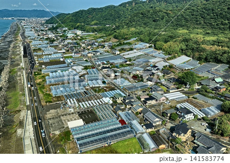 静岡市久能地区の沿岸農地とビニールハウスを捉えた空撮写真 静岡市久能地区の沿岸農地とビニールハウスを捉えた空撮写真 141583774