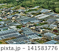 静岡市の農村地帯とビニールハウスを捉えた空撮写真 141583776