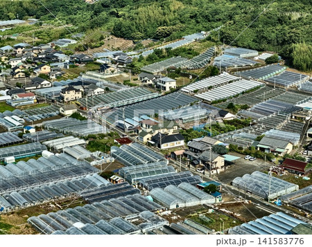 静岡市の農村地帯とビニールハウスを捉えた空撮写真 141583776