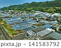 静岡市の農村地帯とビニールハウスを捉えた空撮写真 141583792
