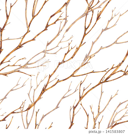 Watercolor seamless pattern with dry autumn tree branches. Botanical hand drawn illustration of twigs on white background. Nature inspired texture for textile and wallpaper design. Watercolor seamless pattern with dry autumn tree branches. Botanical hand drawn illustration of twigs on white background. Nature inspired texture for textile and wallpaper design. 141583807