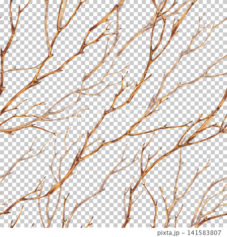 Watercolor seamless pattern with dry autumn tree branches. Botanical hand drawn illustration of twigs on white background. Nature inspired texture for textile and wallpaper design. Watercolor seamless pattern with dry autumn tree branches. Botanical hand drawn illustration of twigs on white background. Nature inspired texture for textile and wallpaper design. 141583807