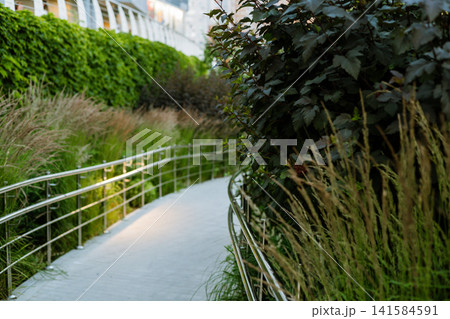 Curving landscaped pedestrian pathway with ornamental grasses and lush greenery showcasing contemporary urban landscape and sustainable item. Curving landscaped pedestrian pathway with ornamental grasses and lush greenery showcasing contemporary urban landscape and sustainable item. 141584591