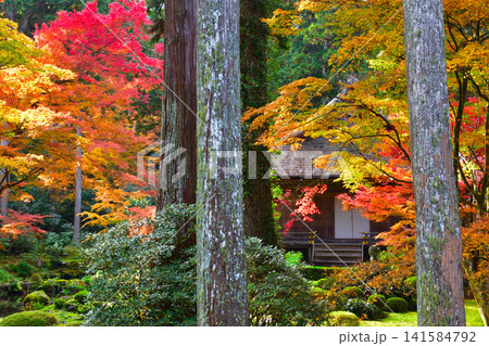 秋 京都 大原 三千院 秋 京都 大原 三千院 141584792
