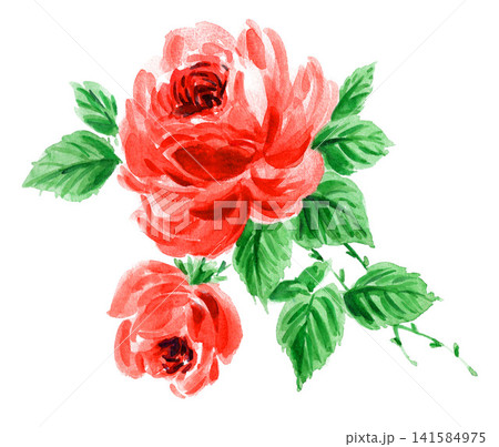水彩で描いたオレンジレッドの薔薇26728pix7 水彩で描いたオレンジレッドの薔薇26728pix7 141584975