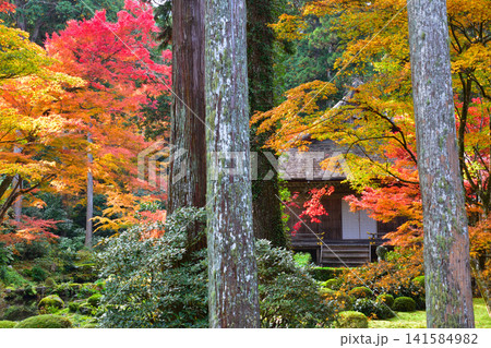 秋 京都 大原 三千院 秋 京都 大原 三千院 141584982