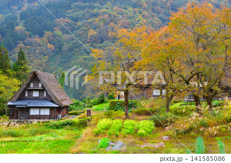 秋 五箇山 相倉合掌集落 秋 五箇山 相倉合掌集落 141585086