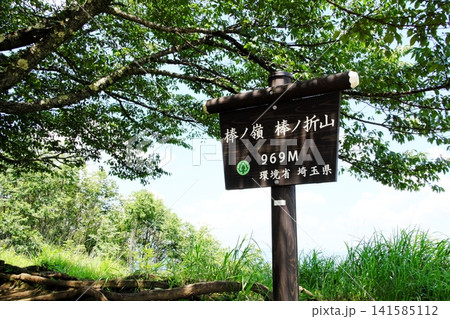 登山のゴール!爽やかな夏の棒ノ嶺山頂(標高969M) 登山のゴール!爽やかな夏の棒ノ嶺山頂(標高969M) 141585112