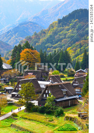 秋 五箇山 相倉合掌集落 秋 五箇山 相倉合掌集落 141585164