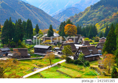 秋 五箇山 相倉合掌集落 秋 五箇山 相倉合掌集落 141585165