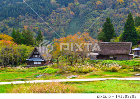 秋 五箇山 相倉合掌集落 秋 五箇山 相倉合掌集落 141585285
