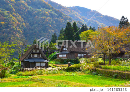 秋 五箇山 相倉合掌集落 秋 五箇山 相倉合掌集落 141585338