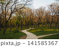Walking path in Lisi Lake Green Zone in Tbilisi during spring 141585367