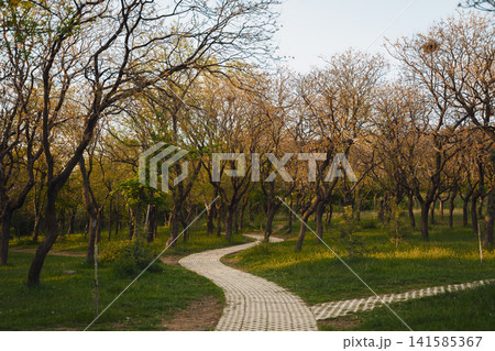 Walking path in Lisi Lake Green Zone in Tbilisi during spring 141585367