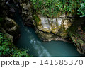 clear blue water flows through a canyon surrounded by grass and mossy trees 141585370