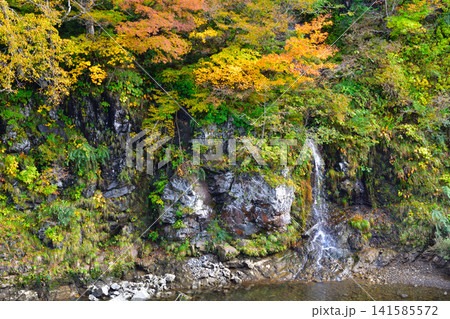 秋 富山 真背戸の滝 秋 富山 真背戸の滝 141585572