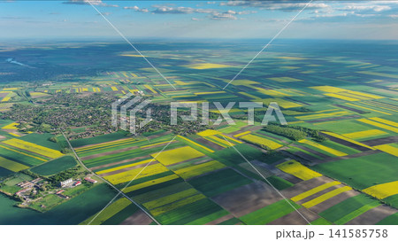Agricultural fields with yellow rapeseed oil crops Agricultural fields with yellow rapeseed oil crops 141585758