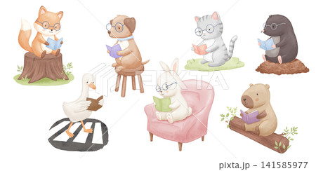 Cute animals reading book on chair, grass, armchair and tree stump. Watercolour illustrations set isolated on white background 141585977