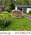 Woodpile of Birch Firewood on Lawn in Porvoo, Finland. 141586274